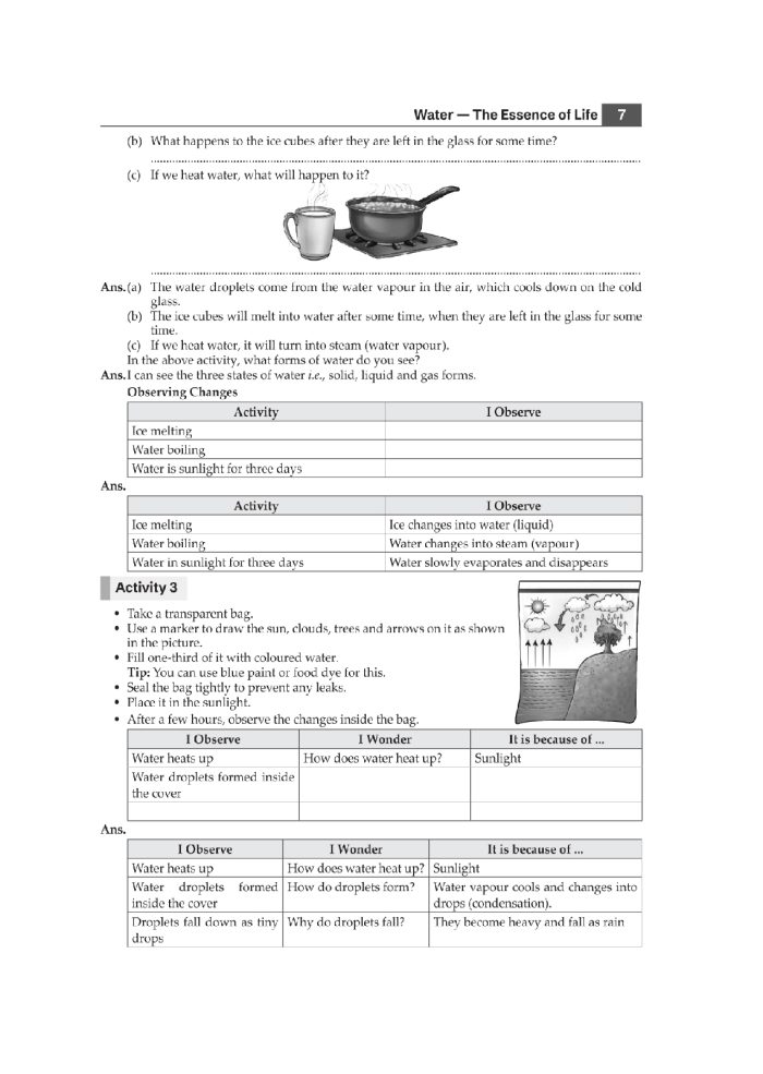 Class 5 EVS Worksheet