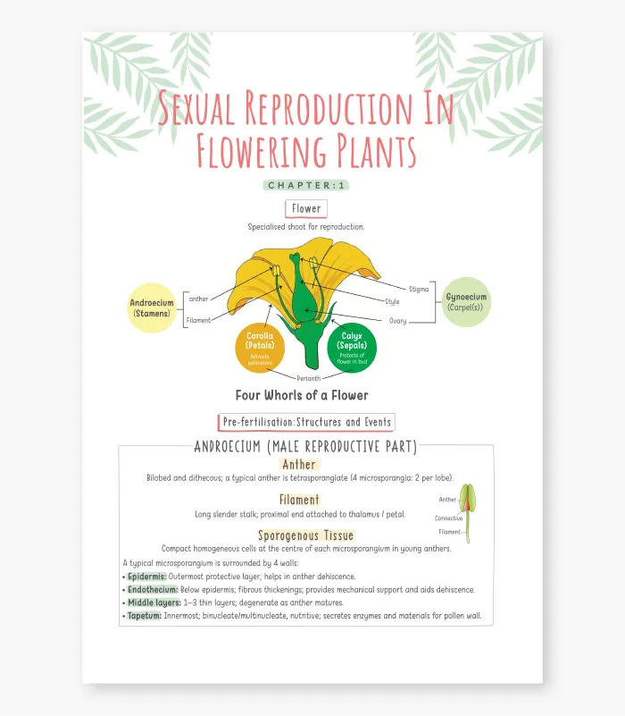 Biology Question Bank for CBSE Class 12 Exam 2027 3