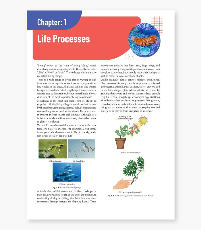 Biology Textbook for CBSE 2027 Class 10 3
