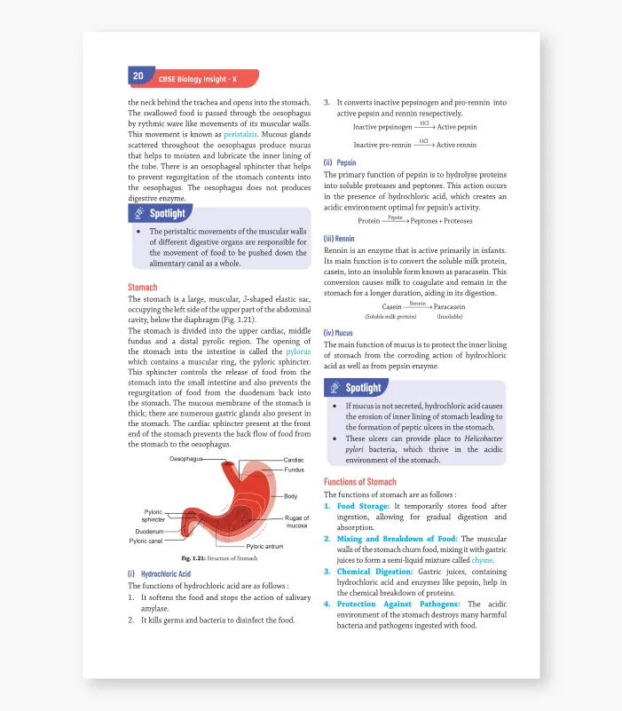 Biology Textbook for CBSE 2027 Class 10 4